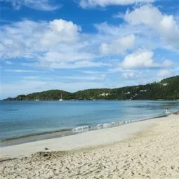 Brewers Bay (Tortola)