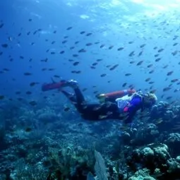 Scuba Diving & Snorkeling