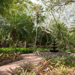 Queen Elizabeth II Botanic Park (Grand Cayman)