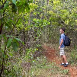 Mastic Trail (Grand Cayman)