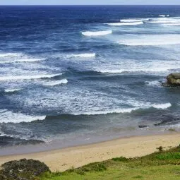 Bathsheba Beach