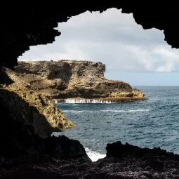 Animal Flower Cave