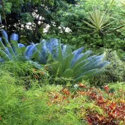 Andromeda Botanic Gardens