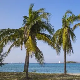 Junkanoo Beach (Nassau)