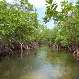 Lucayan National Park (Grand Bahama Island)