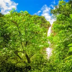 Parc National de la Guadeloupe (Guadeloupe National Park)