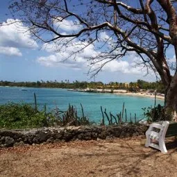 Store Bay (Tobago)