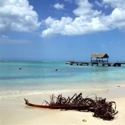 Pigeon Point (Tobago)