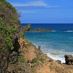 Buccoo Reef (Tobago)