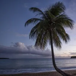 Sun Bay (Vieques)