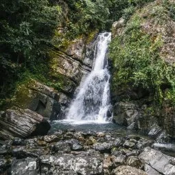 El Yunque National Forest