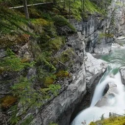 Maligne Canyon