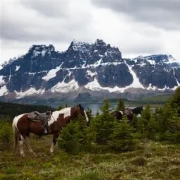 Jasper National Park Horseback Riding