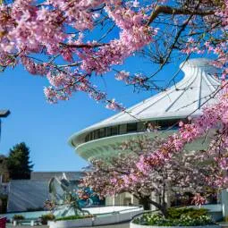 Museum of Vancouver