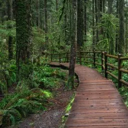 Lynn Canyon Park