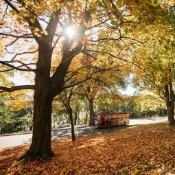 Quebec City Bus Tours