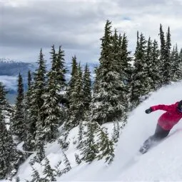 Whistler Blackcomb