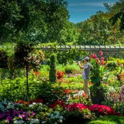 Montreal Botanical Garden (Jardin Botanique Montreal)