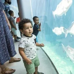 Montreal Biodome (Biodôme de Montreal)