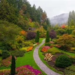 The Butchart Gardens