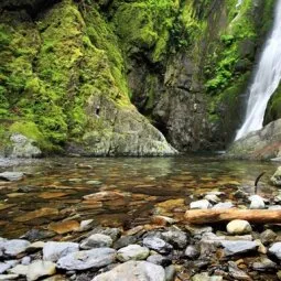 Goldstream Provincial Park