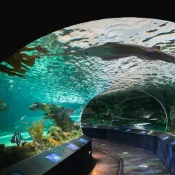 Ripley's Aquarium of Canada