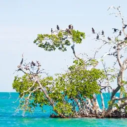 Sian Ka'an Biosphere Reserve