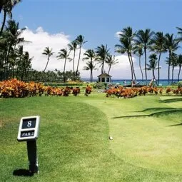 Playa del Carmen Golf Courses