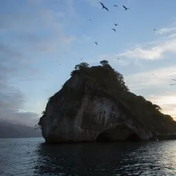 Los Arcos National Marine Park