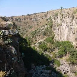 El Charco del Ingenio Botanical Garden