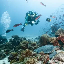 Galápagos Islands Snorkeling & Diving