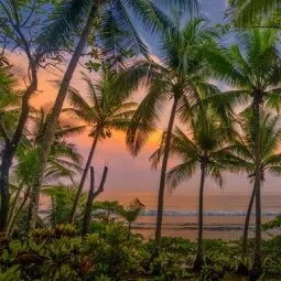 Corcovado National Park