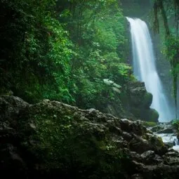 La Paz Waterfall Gardens