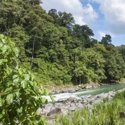 Pacuare River