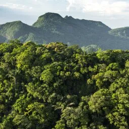 Tijuca National Park