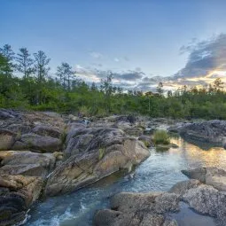 Mountain Pine Ridge Forest Reserve