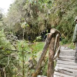 Inca Trail to Machu Picchu