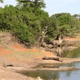 Grumeti River (Western Corridor)