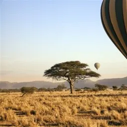 Serengeti Balloon Safaris