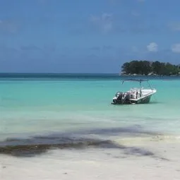 Anse Volbert (Praslin)