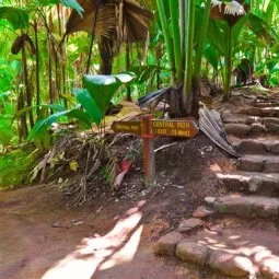 Vallée de Mai (Praslin)