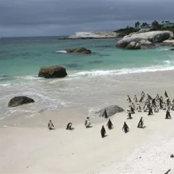 Boulders Beach