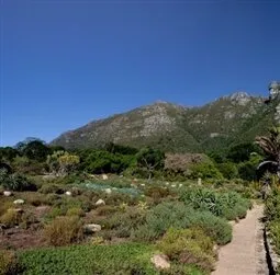 Kirstenbosch National Botanical Gardens