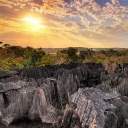 Tsingy de Bemaraha Strict Nature Reserve