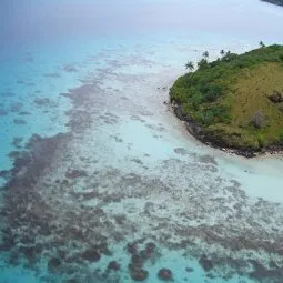 Coral Gardens