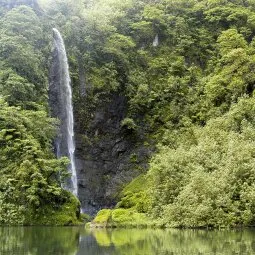 Hike to Fautaua Waterfall