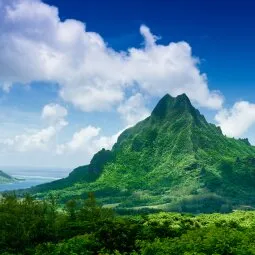 Hop a ferry to Moorea