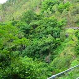 Kuranda Scenic Railway