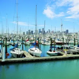 Viaduct Harbour