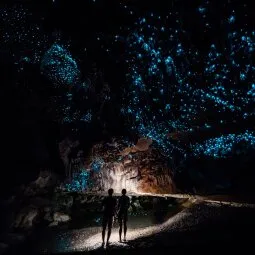 Waitomo Glowworm Caves